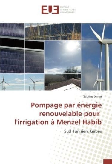 Pompage par énergie renouvelable pour l'irrigation à Menzel Habib