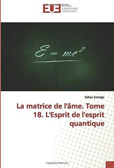 La matrice de l'âme. Tome 18. L'Esprit de l'esprit quantique