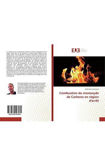 Combustion du monoxyde de Carbone en région d'arrêt