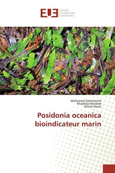 Posidonia oceanica bioindicateur marin