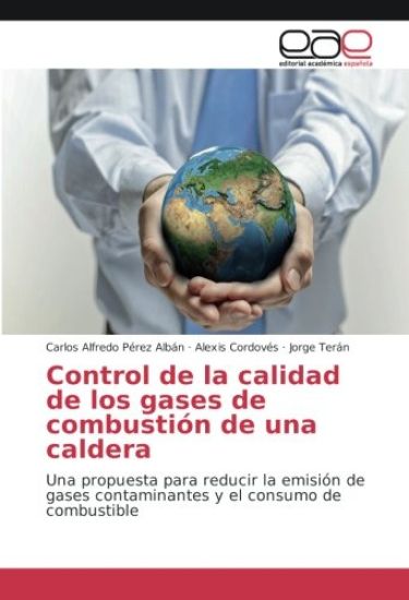 Control de la calidad de los gases de combustión de una caldera