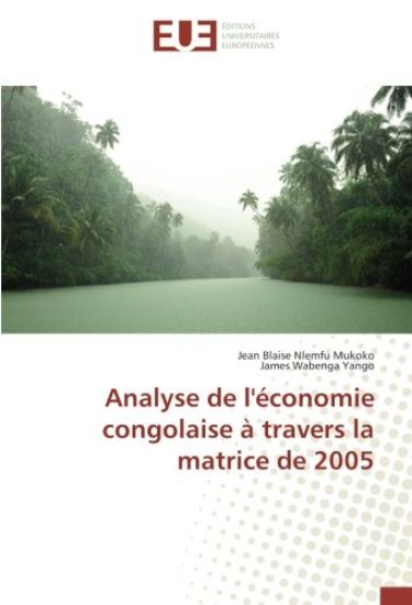 Analyse de l'économie congolaise à travers la matrice de 2005