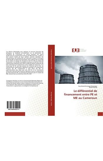 Le différentiel de financement entre PE et ME au Cameroun