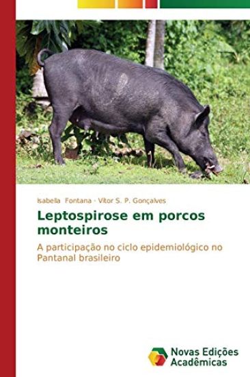Leptospirose em porcos monteiros