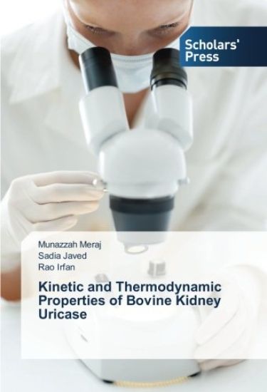 Kinetic and Thermodynamic Properties of Bovine Kidney Uricase