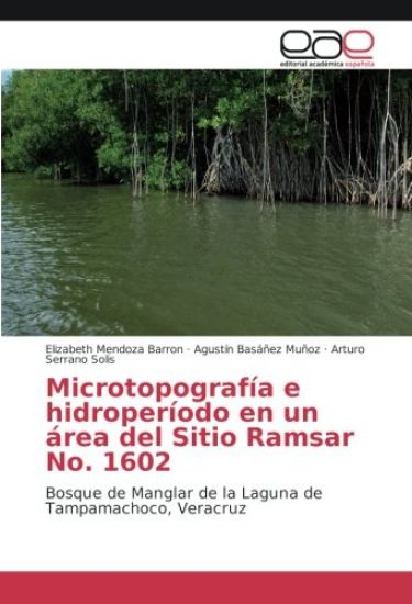 Microtopografía e hidroperíodo en un área del Sitio Ramsar No. 1602
