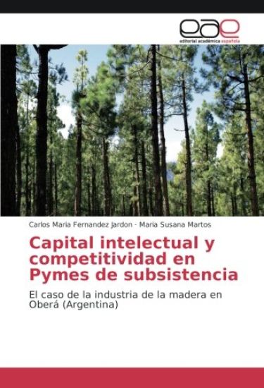 Capital intelectual y competitividad en Pymes de subsistencia
