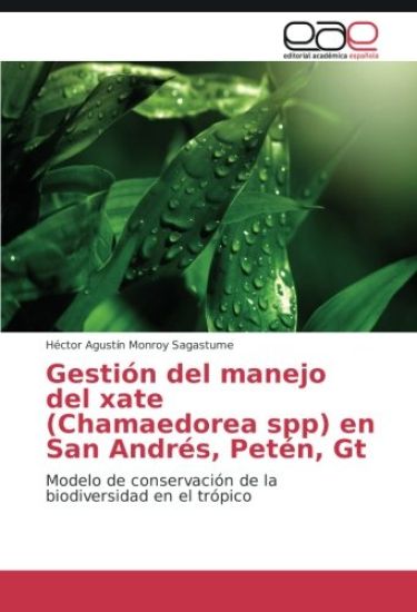 Gestión del manejo del xate (Chamaedorea spp) en San Andrés, Petén, Gt