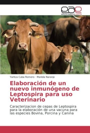 Elaboración de un nuevo inmunógeno de Leptospira para uso Veterinario