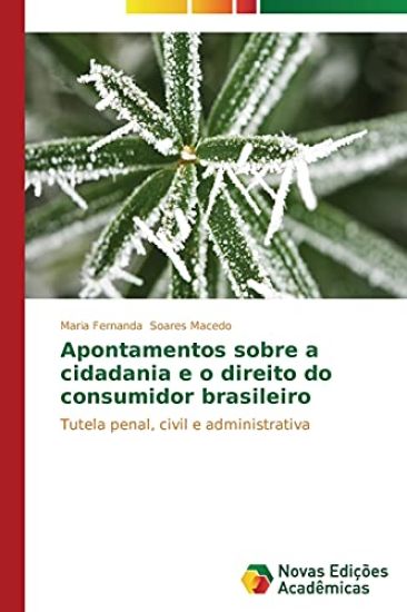 Apontamentos sobre a cidadania e o direito do consumidor brasileiro