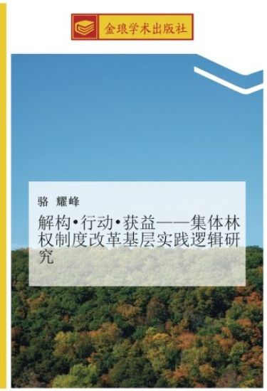 jie gou  xing dong  huo yi  ji ti lin quan zhi du gai ge ji ceng shi jian luo ji yan jiu