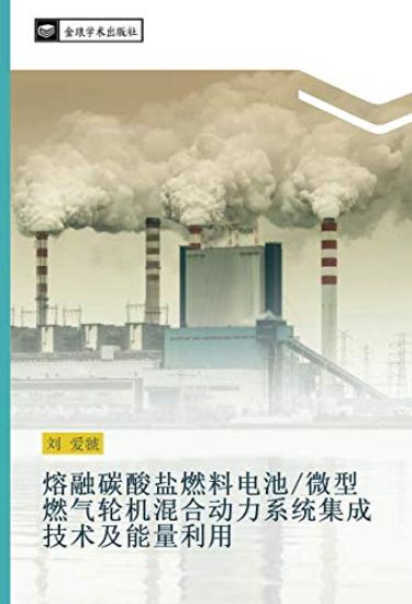 rong rong tan suan yan ran liao dian chi  wei xing ran qi lun ji hun he dong li xi tong ji cheng ji shu ji neng liang li yong