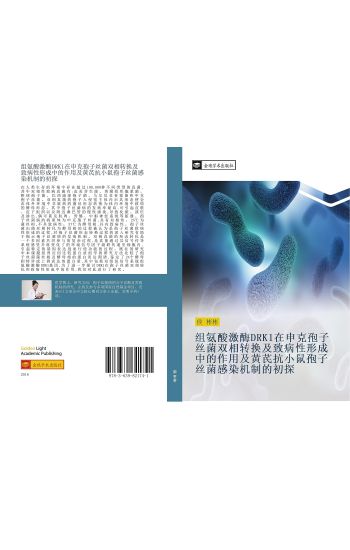 zu an suan ji mei DRK1 zai shen ke bao zi si jun shuang xiang zhuan huan ji zhi bing xing xing cheng zhong de zuo yong ji huang qi kang xiao shu bao zi si jun gan ran ji zhi de chu tan