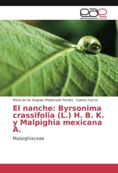 El nanche: Byrsonima crassifolia (L.) H. B. K. y Malpighia mexicana A.