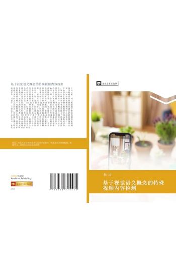 ji yu shi jue yu yi gai nian de te shu shi pin nei rong jian ce