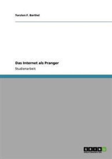 Das Internet als Pranger