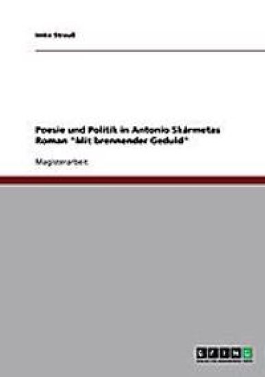 Poesie und Politik in Antonio Skármetas Roman "Mit brennender Geduld"