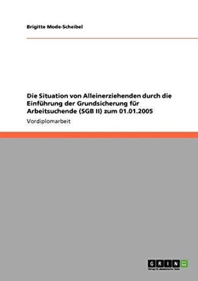 Die Situation von Alleinerziehenden durch die Einführung der Grundsicherung für Arbeitsuchende (SGB II) zum 01.01.2005