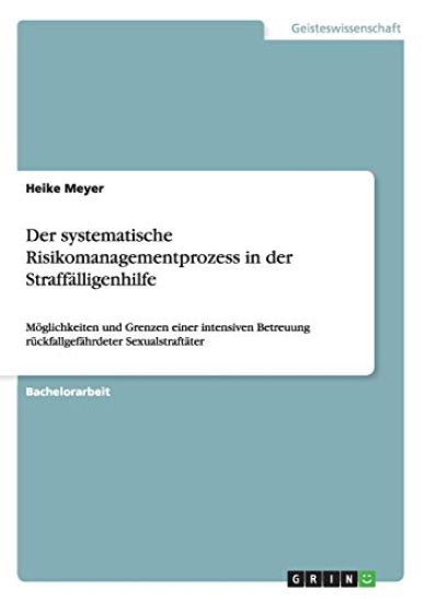Der systematische Risikomanagementprozess in der Straffälligenhilfe