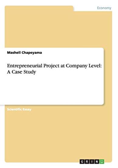 Entrepreneurial Project at Company Level