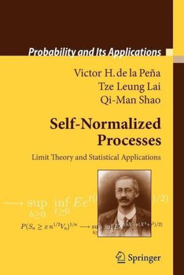 Self-Normalized Processes