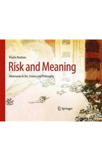 Risk and Meaning
