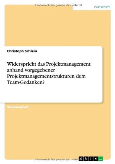 Widerspricht das Projektmanagement anhand vorgegebener Projektmanagementstrukturen dem Team-Gedanken?