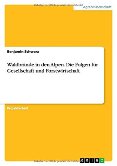 Waldbrande in den Alpen. Die Folgen fur Gesellschaft und Forstwirtschaft