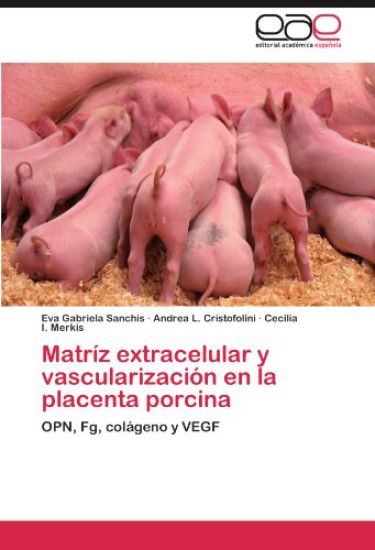 Matríz extracelular y vascularización en la placenta porcina