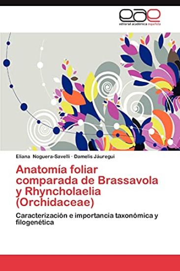 Anatomia Foliar Comparada de Brassavola y Rhyncholaelia (Orchidaceae)