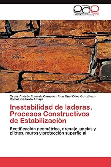 Inestabilidad de Laderas. Procesos Constructivos de Estabilizacion