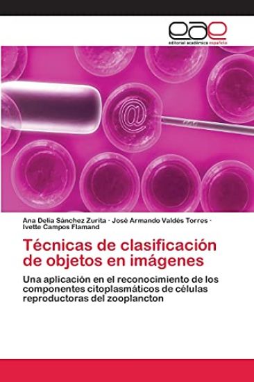 Técnicas de clasificación de objetos en imágenes