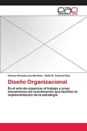 Diseño Organizacional