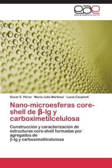 Nano-microesferas core-shell de ß-lg y carboximetilcelulosa