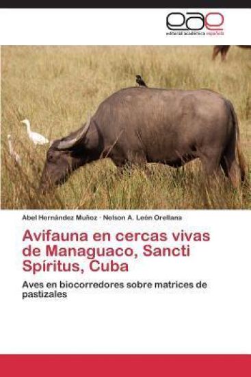 Avifauna en cercas vivas de Managuaco, Sancti Spíritus, Cuba