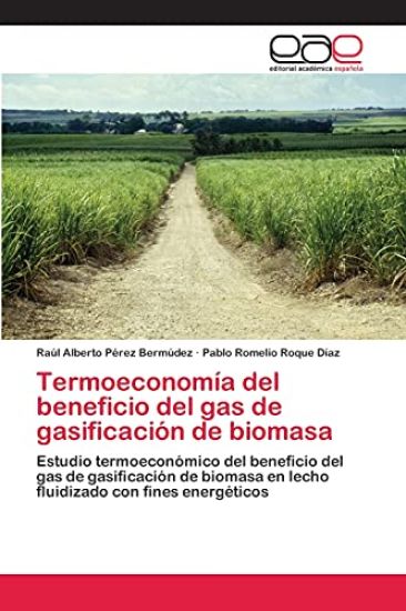 Termoeconomía del beneficio del gas de gasificación de biomasa