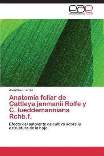 Anatomía foliar de Cattleya jenmanii Rolfe y C. lueddemanniana Rchb.f.