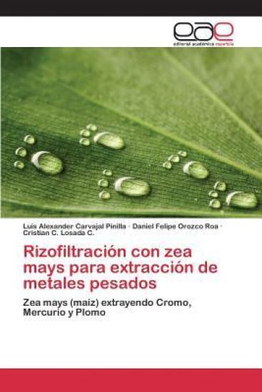 Rizofiltración con zea mays para extracción de metales pesados