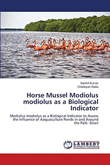 Horse Mussel Modiolus modiolus as a Biological Indicator