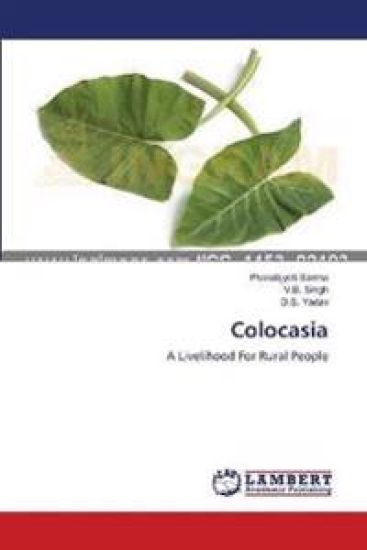 Colocasia