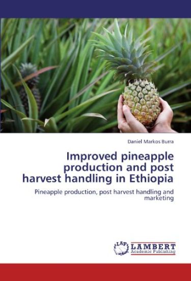 Improved pineapple production and post harvest handling in Ethiopia
