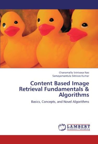 Content Based Image Retrieval Fundamentals & Algorithms