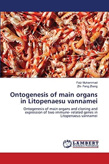 Ontogenesis of main organs in Litopenaesu vannamei