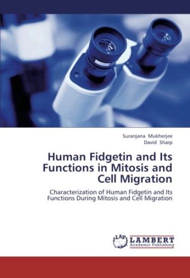 Human Fidgetin and Its Functions in Mitosis and Cell Migration
