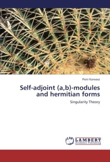 Self-adjoint (a,b)-modules and hermitian forms