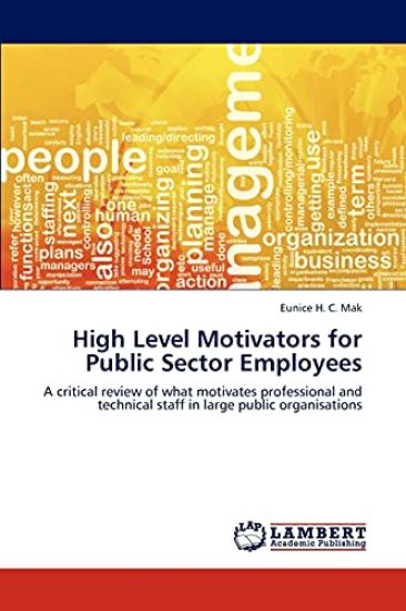 High Level Motivators for Public Sector Employees