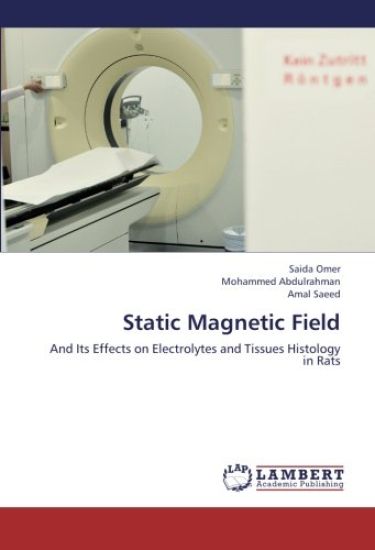 Static Magnetic Field