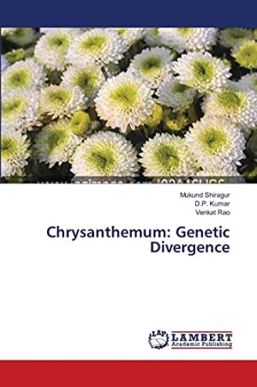 Chrysanthemum