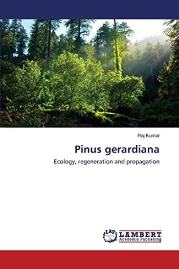 Pinus gerardiana