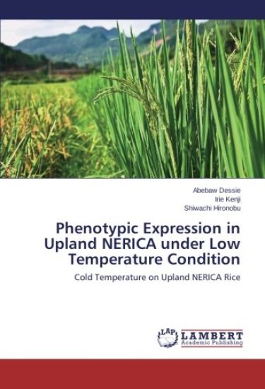 Phenotypic Expression in Upland NERICA under Low Temperature Condition